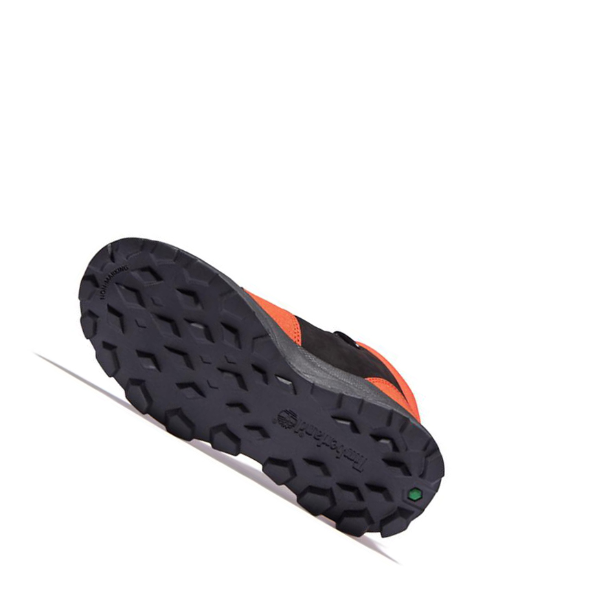 Botas Chukka Timberland Brooklyn Alpine Niños Negras | ES-ACRQF63