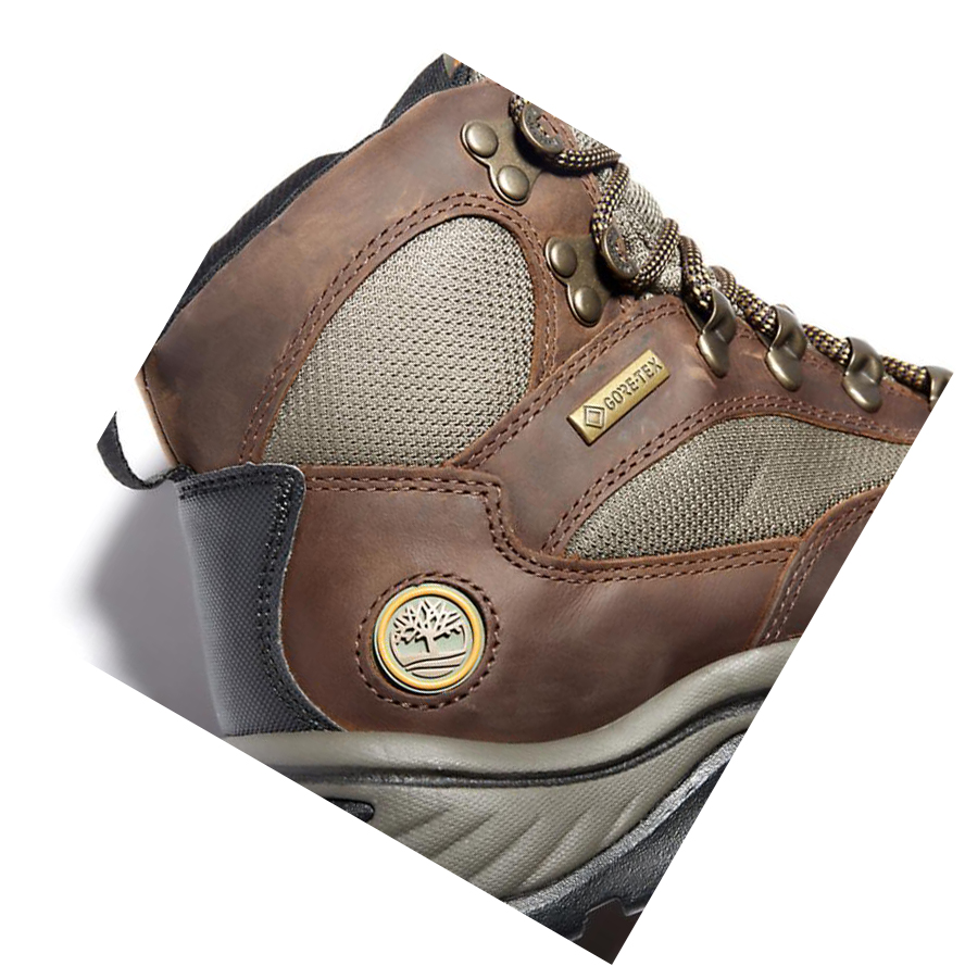 Botas Montaña Timberland Chocorua Gore-Tex® Hiker Mujer Marrones | ES-TZFCI06