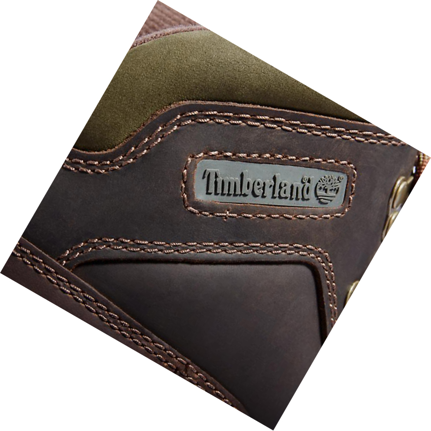 Botas Montaña Timberland Euro Hiker Better Cuero Hombre Marrones | ES-JHXKO93