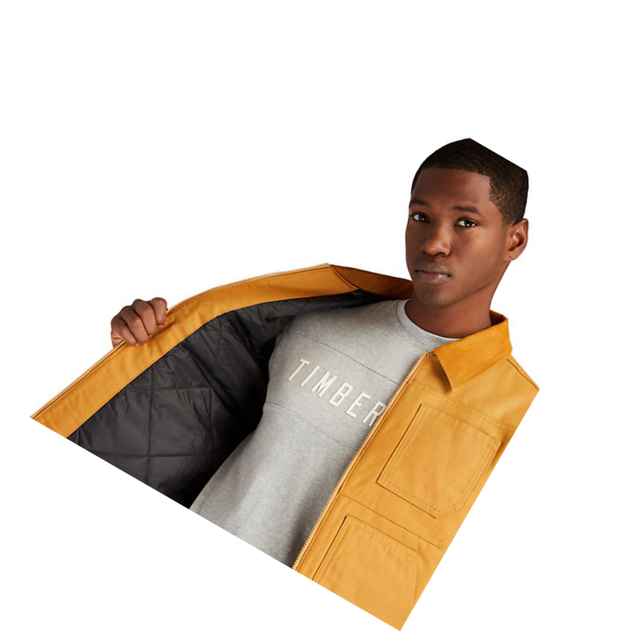 Chaquetas Timberland Errand Hombre Amarillo | ES-LZEGD08