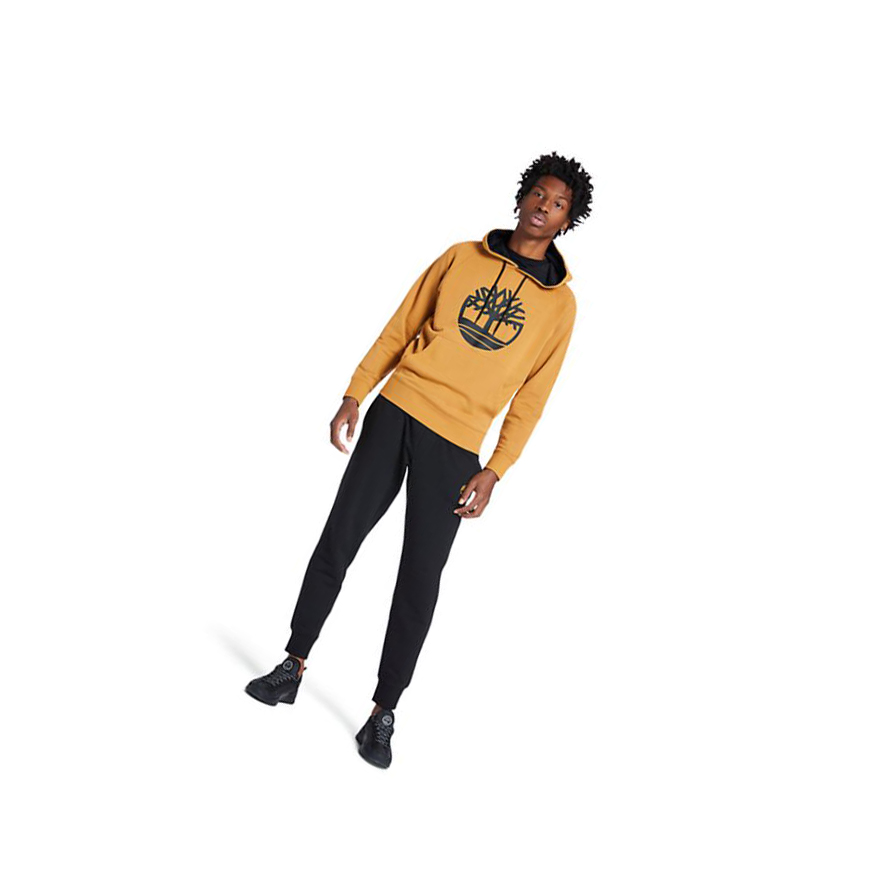 Sudadera Con Capucha Timberland Core Tree Logo Hombre Amarillo | ES-DREAH48