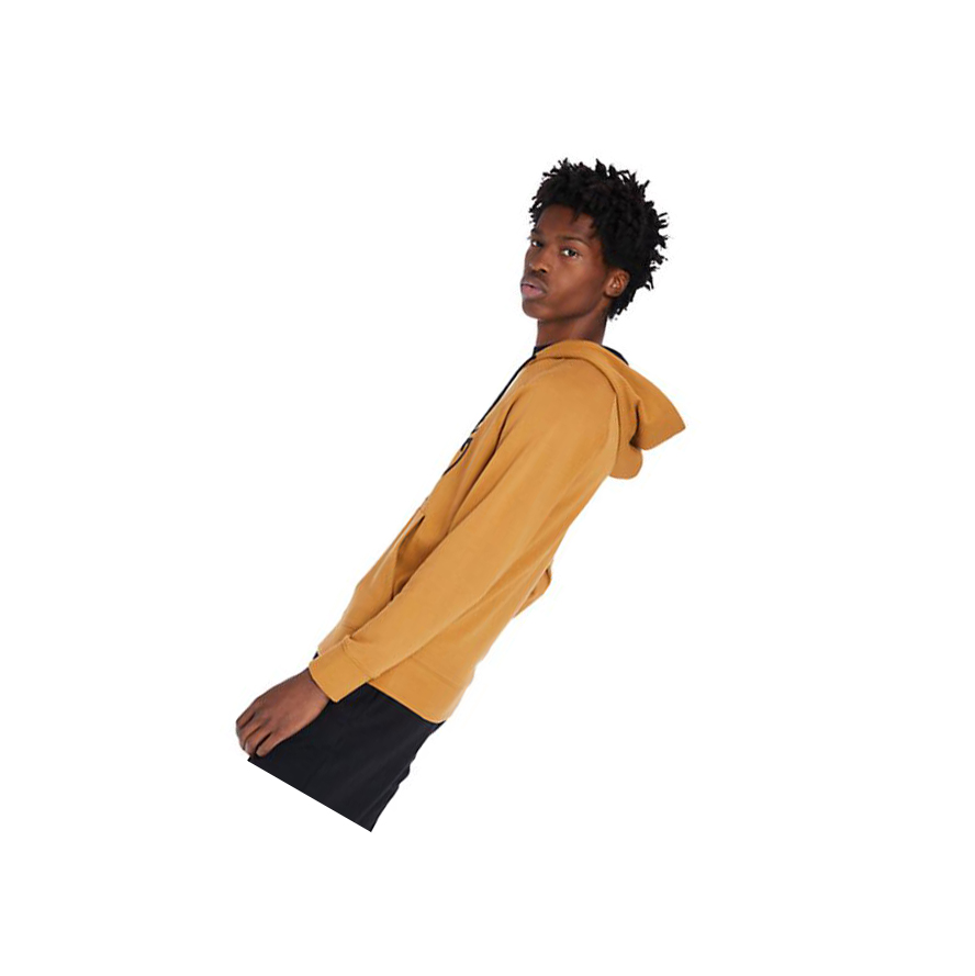 Sudadera Con Capucha Timberland Core Tree Logo Hombre Amarillo | ES-DREAH48