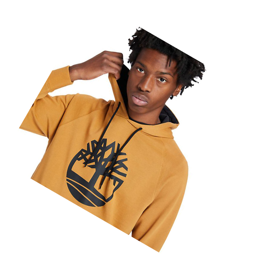 Sudadera Con Capucha Timberland Core Tree Logo Hombre Amarillo | ES-DREAH48