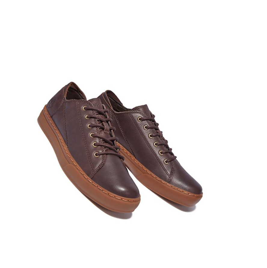 Zapatillas Timberland Adventure 2.0 Hombre Marrones Oscuro | ES-CATGS47