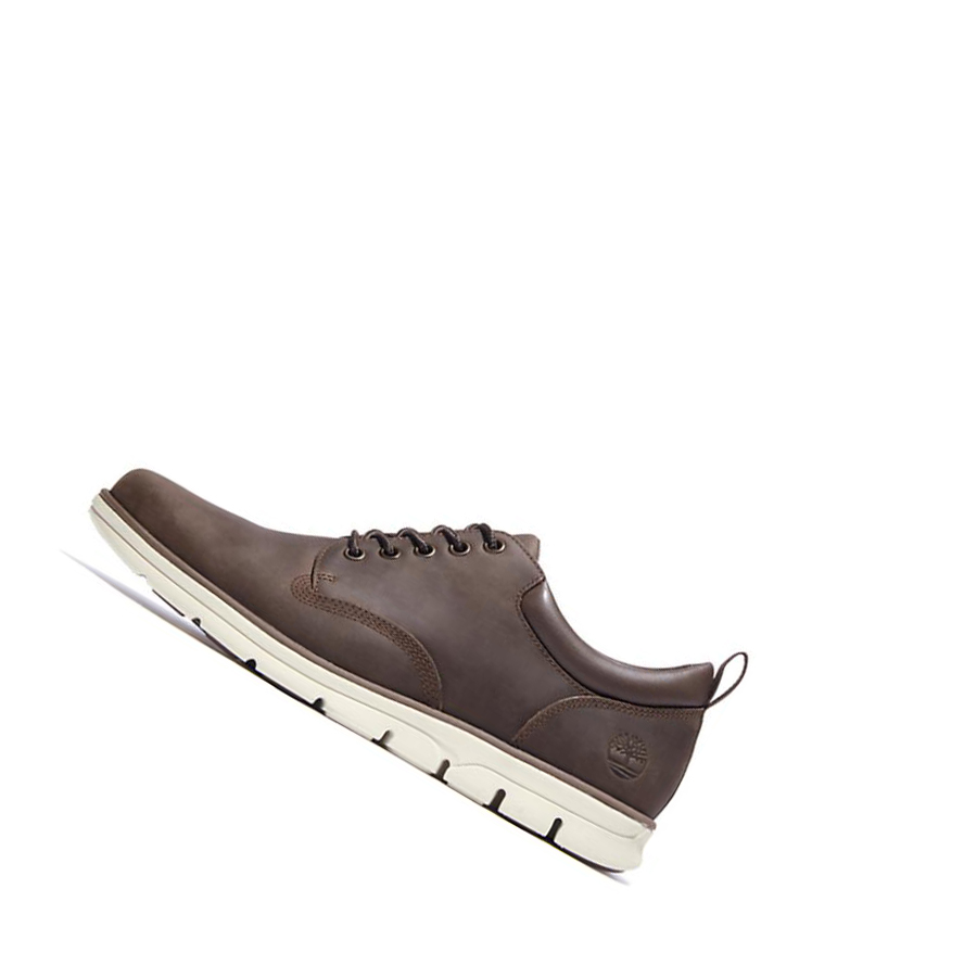 Zapatos Casuales Timberland Bradstreet Cuero Oxford Hombre Marrones | ES-LYQNH37