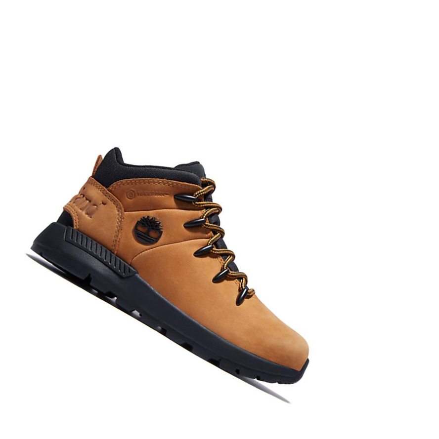 Zapatos De Senderismo Timberland Sprint Trekker Mid Niños Amarillo | ES-EYDXN43